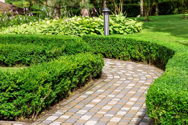 Cost of Paved Landscaping in Vallejo