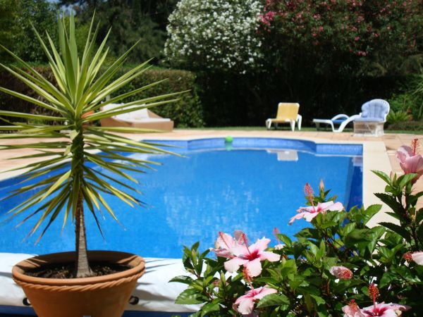 Cost of Pool Terrace Renovation in Vallejo