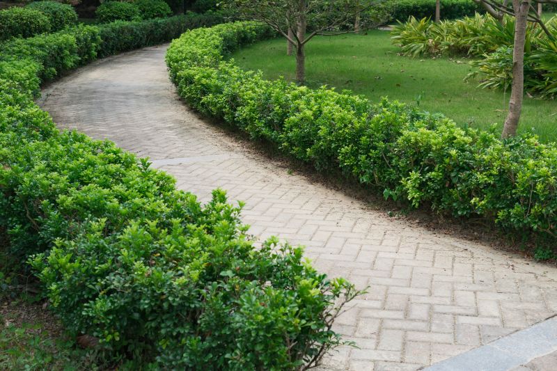 Elegant paver pathway